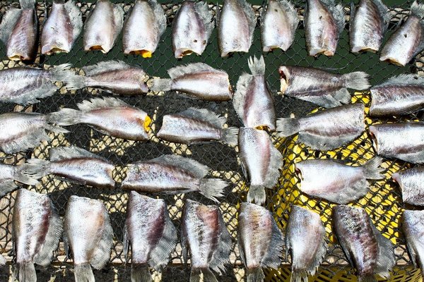 Comment les techniques traditionnelles de tissage sont-elles préservées dans la mode contemporaine ?